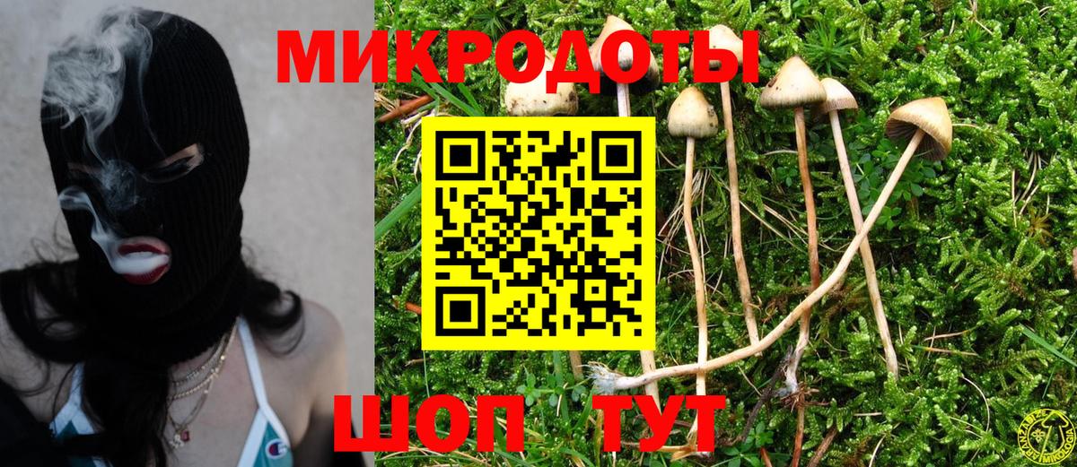 Псилоцибиновые грибы прущие грибы Вологда