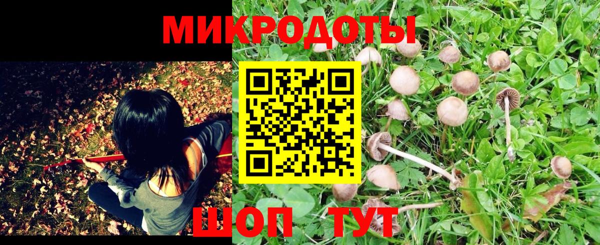 Псилоцибиновые грибы MAGIC MUSHROOMS  купить наркоту  Вологда  Вход с VPN 